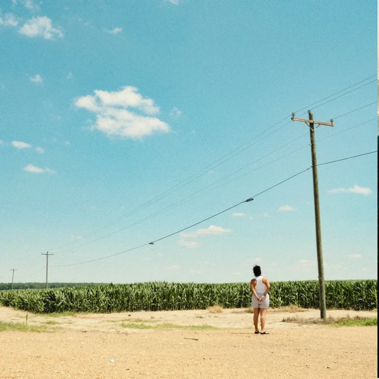 A person standing near a cornfield beneath utility lines and a wide blue sky.